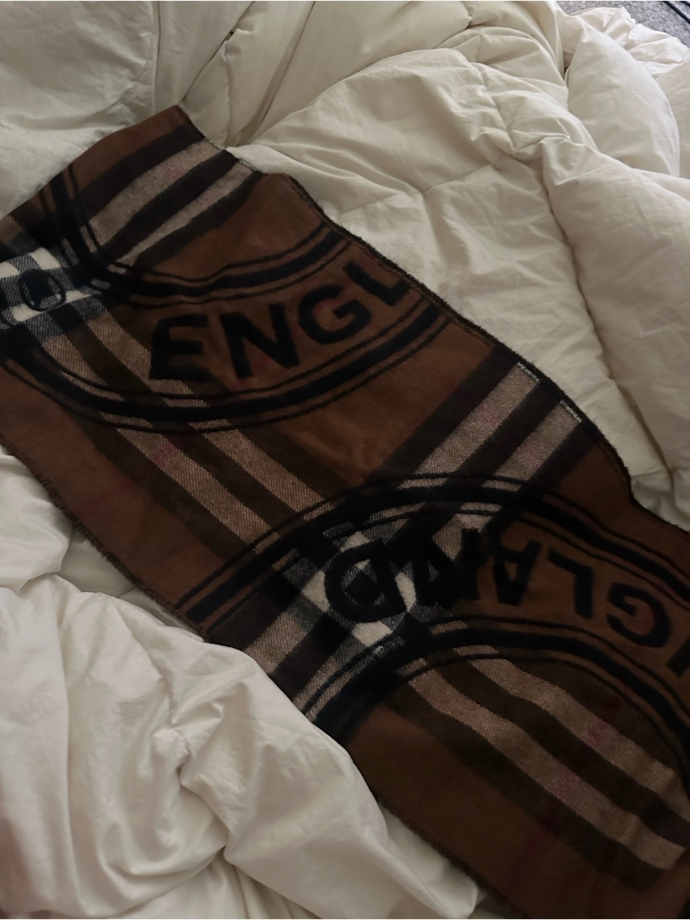 Blank Brand Brown Plaid Scarf